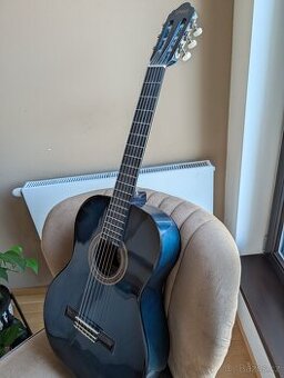 Prodám – kytara Valencia (modrozelená)