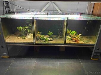 Prodám akvaria