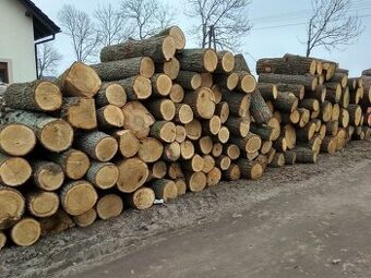 Jarní akce na palivové dřevo tvrdé