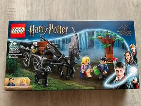 Lego Harry Potter 76400 - 1