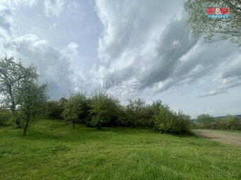 Prodej louky, 3369 m², Nové Sedlo