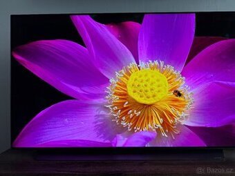 LG Oled55C11LB