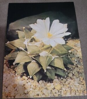 Pohlednice - Foto R.Šubík - 1