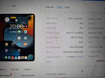 Apple Ipad 9