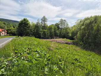 Prodej pozemku ve Vernířovicích (14 183 m2)