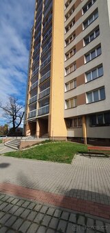 Pronájem 1+kk se zasklenou lodžií v Orlové-Lutyni