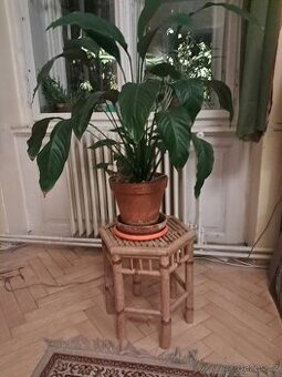 Malý bambusový stolek