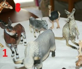 24. Okapi zn. Schlech