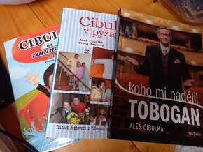 3x Aleš Cibulka