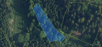 Prodám lesní pozemek v k.ú. Plavy