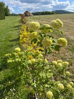 Stavební pozemek Slavče
