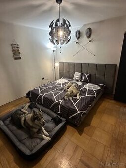 Prodej domu s obrovským potenciálem