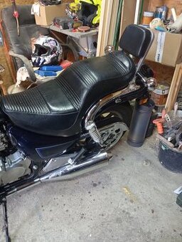 Kawasaki en500a
