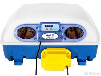 Prodám automatickou líheň REAL49 Borotto