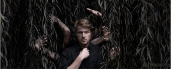 2x Ozvěny ptáků - činohra a tanec se slovy Josefa Topola