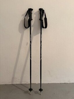 Lyžařské hůlky