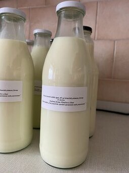 Kravské mléko A2 Jersey