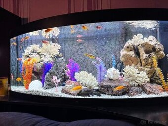 Akvária  - prodej kompletního akvária