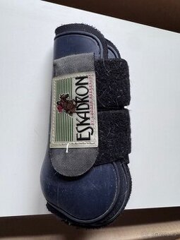 Šlachovky eskadron