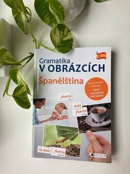 Gramatika v obrázcích - Španělština - Martina Hulešová, Iván