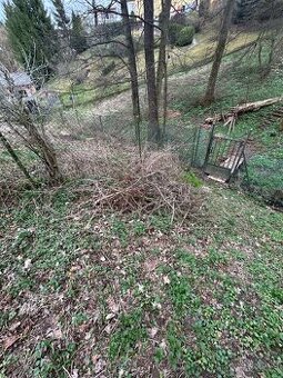 Zdarma daruji větve na podpal/ seštěpkování Senohraby