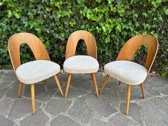 Krásné nově očalouněné židle BRUSEL - A. ŠUMAN