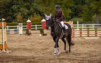 5letá ČT klisna na prodej