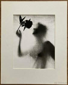 Eva Fuková – Dívka s květinou (1957) - 1