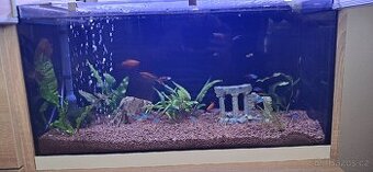 🐠 Prodám 2 kompletně zařízená akvária s rybičkami – 40 l 🐠