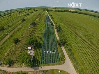Prodej pozemek Sady/vinice, 2318㎡ - 1