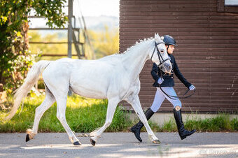 Pony do sportu i pro děti
