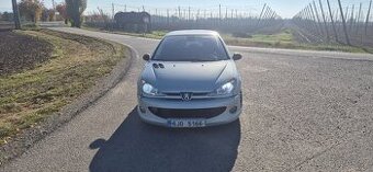 Peugeot 206 GTi RFN