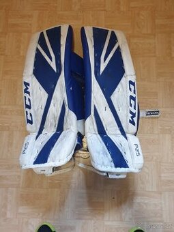 prodej profi výstroje pro gól.-ukončení kariery