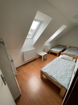 Ubytování v Přelouči / pokoj k pronájmu