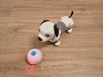 Robotický pes
