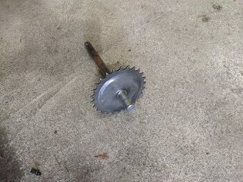 Osa šlapání babetta