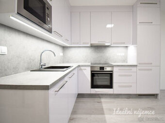 Pronájem bytu 1+kk, Reissigova, Ponava,  16200 Kč/měs, 35 m2