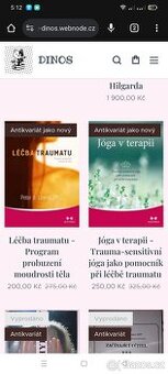 Léčba traumu/ Jóga v rerapii