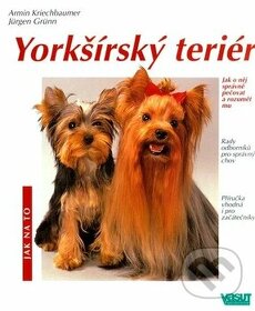 Labradorský retrívr, Yorkšírský teriér, Anglický kokršpaněl - 1