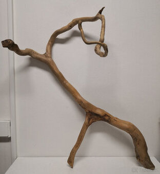 Samorast - 1