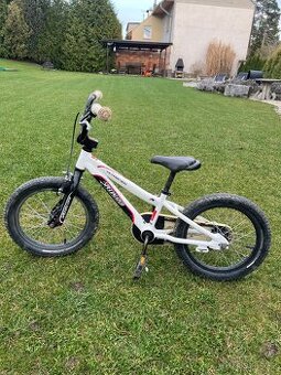 Specialized - 1