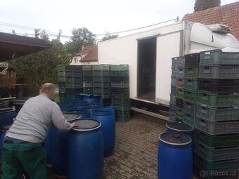švestky 15 kč/kg Pardubický kraj