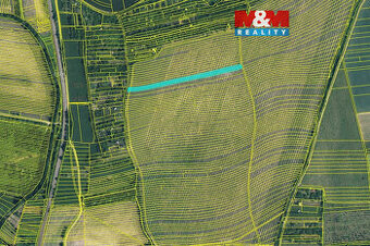 Prodej vinice, 1585 m², Bohuslavice u Kyjova