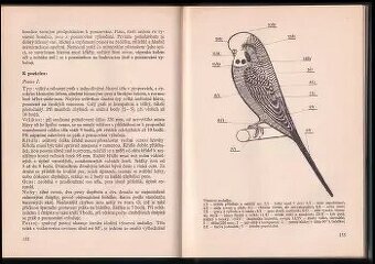 Standard cizokrajného ptactva - autor Walter Wiener