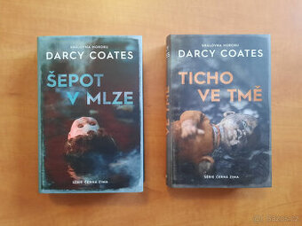 Šepot v mlze, Ticho ve tmě