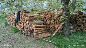 Palivové dřevo - 1