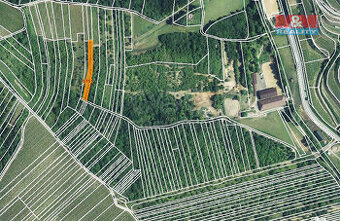 Prodej ovocného sadu, 1211 m², Němčičky u Hustopečí