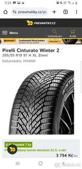 Pneumatiky 205/55 r19 Pirelli Winter 2