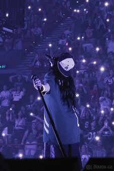 NUTNĚ HLEDÁM LÍSTKY NA BILLIE EILISH