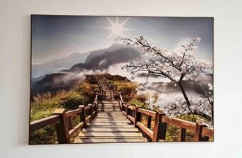 Obraz 100x70cm PC: 1200,-